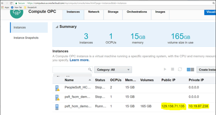 Setting up the instance