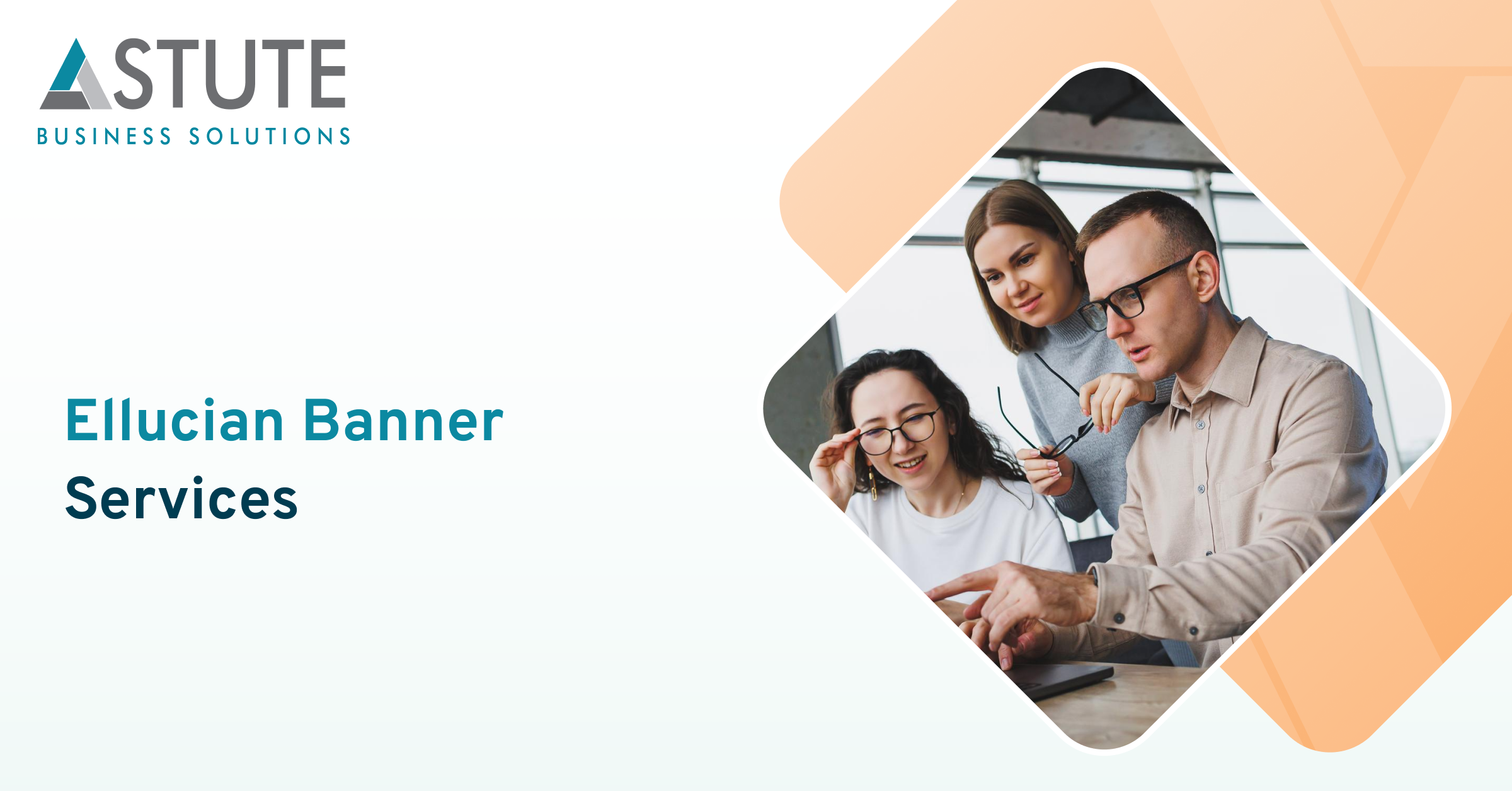 Ellucian Banner Services and Training, ERP, Software Services