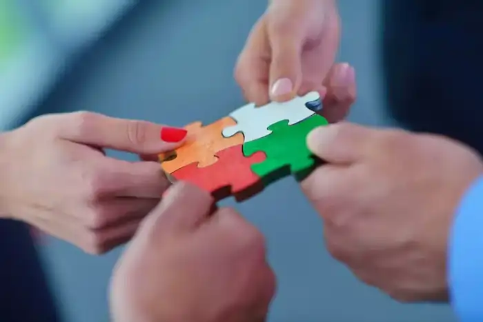 PeopleSoft Flex Support